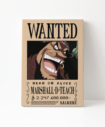 Tela in Canvas - Marshall D Teach (Barbanera)